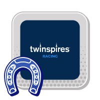 twinspires horse racing explained