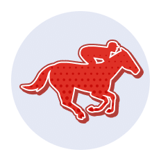 https://usbetting.org/review/xpressbet/#Flat_Racing