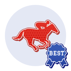best racing sites by category