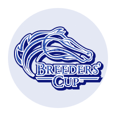 https://usbetting.org/horse-racing/breeders-cup/